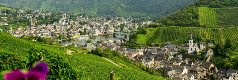 View over Traben-Trarbach with vineyard in front, old town and Mosel river in the distance.